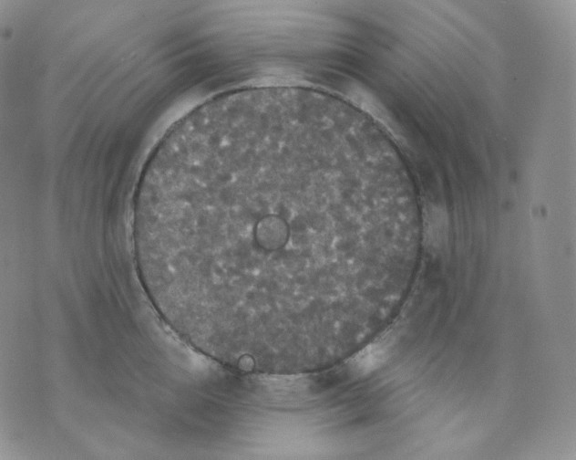 X0000070860856200607071856