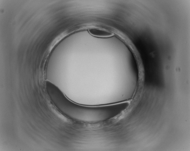 X0000070860858200607071856