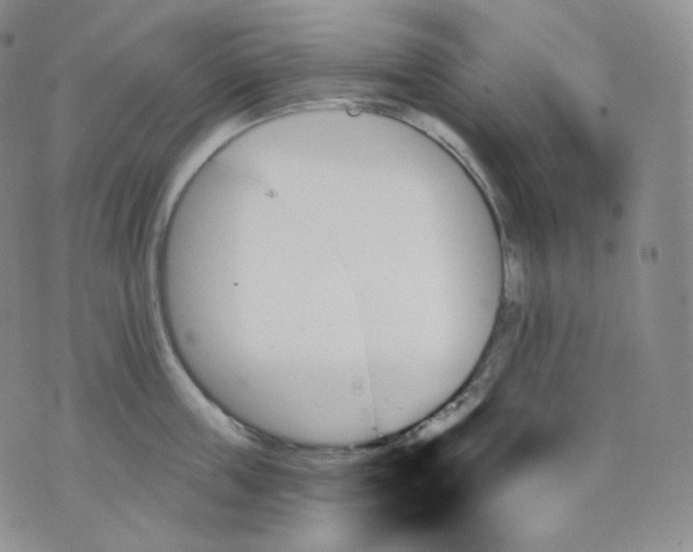 X0000070860859200607071856