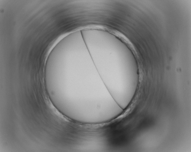 X0000070860860200607071856