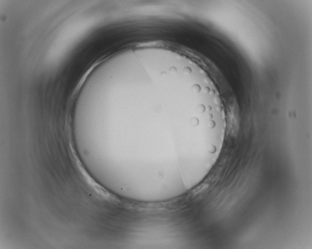 X0000070860861200607071856