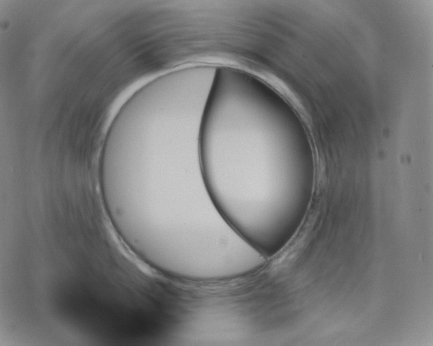 X0000070860862200607071856