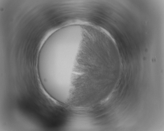 X0000070860863200607071856