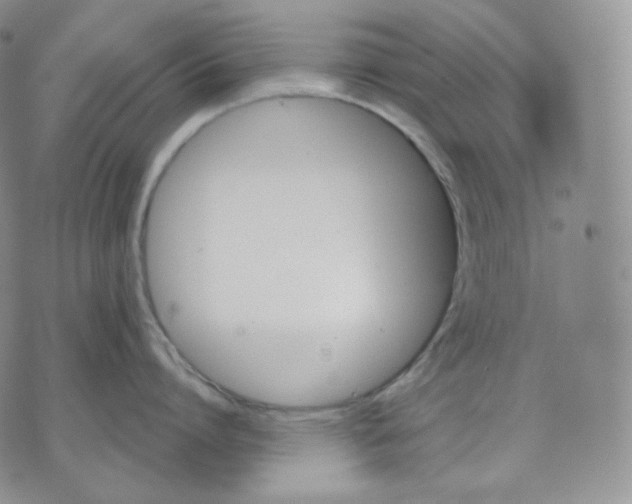 X0000070860864200607071856