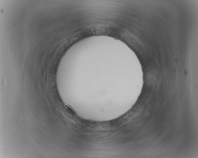 X0000070860865200607071855