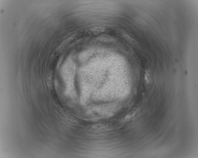 X0000070860867200607071855