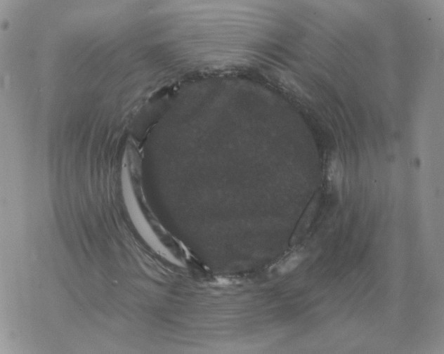 X0000070860868200607071855