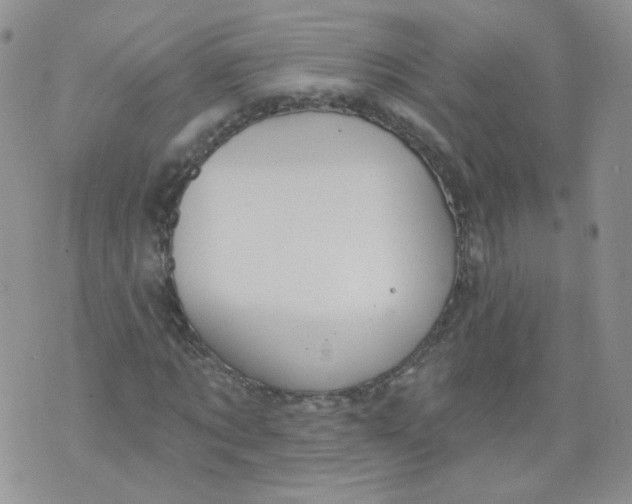 X0000070860869200607071855