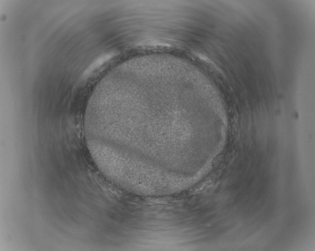 X0000070860870200607071855