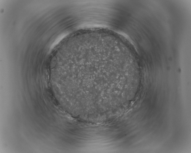 X0000070860871200607071855