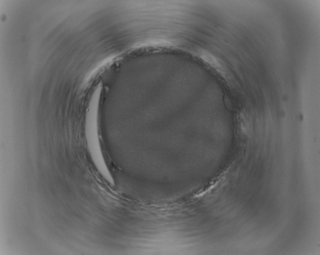 X0000070860872200607071855