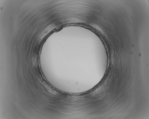 X0000070860873200607071855