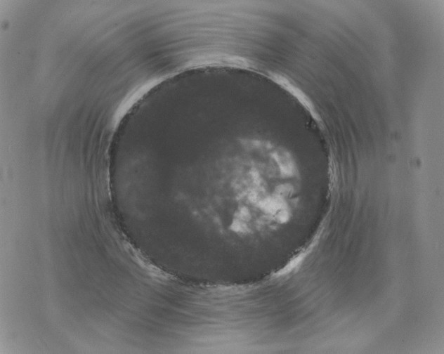 X0000070860877200607071855