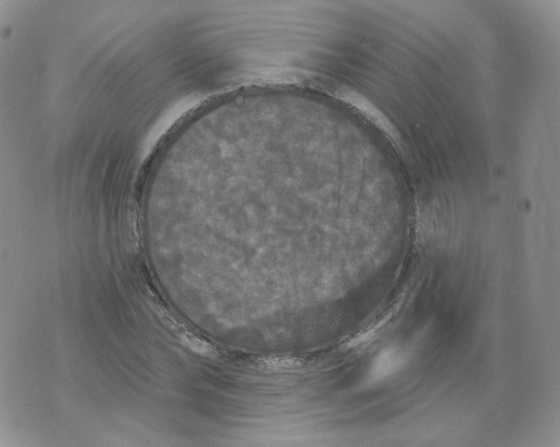 X0000070860878200607071855