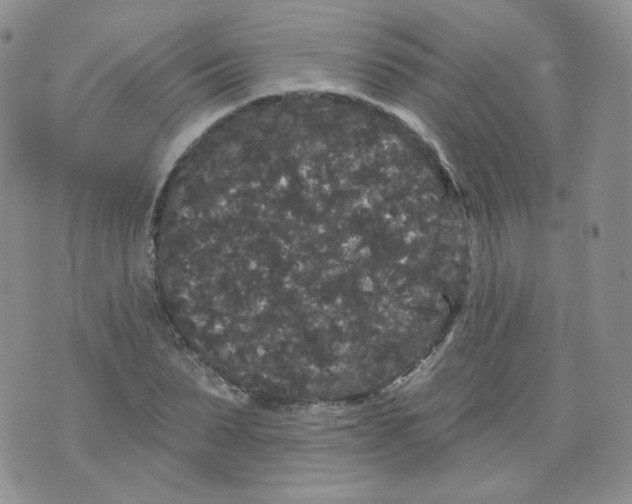 X0000070860879200607071855