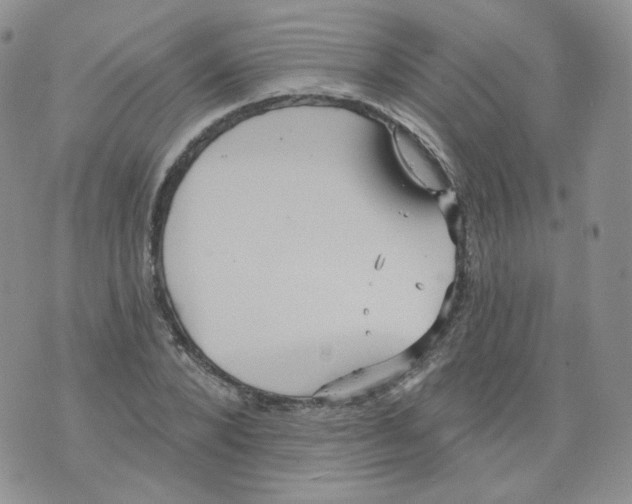 X0000070860880200607071855