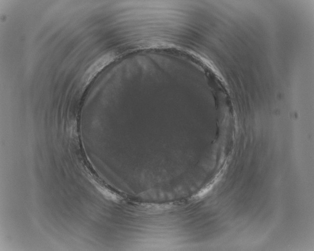 X0000070860881200607071855