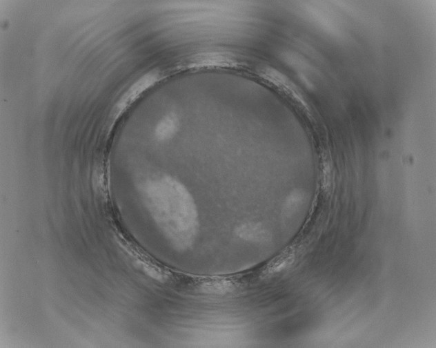 X0000070860882200607071855