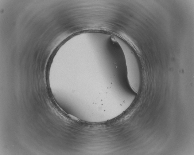 X0000070860884200607071855