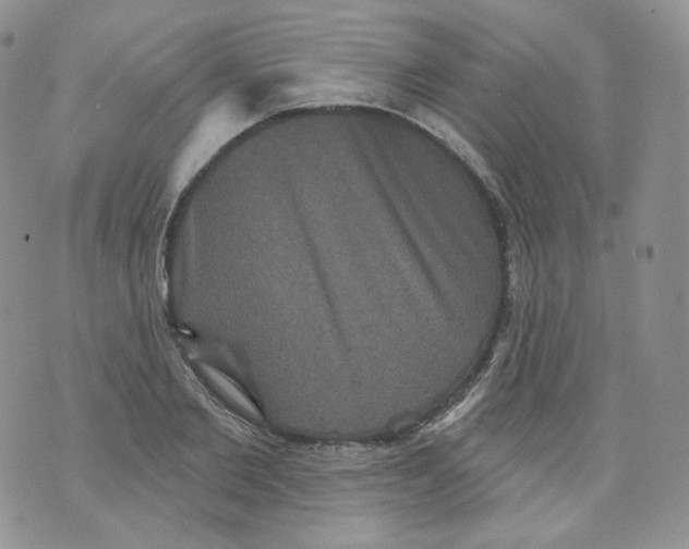 X0000070860885200607071855