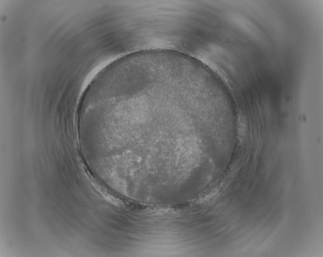 X0000070860886200607071855