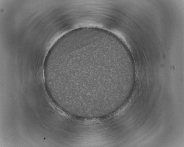 X0000070860887200607071855