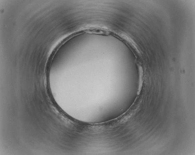 X0000070860888200607071855