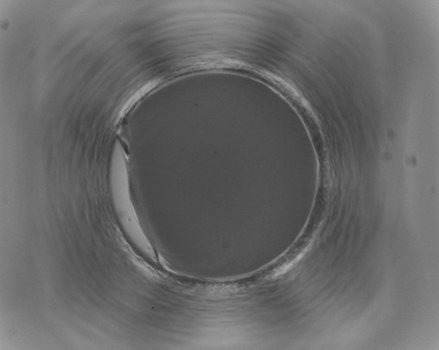 X0000070860889200607071855