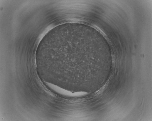 X0000070860891200607071855