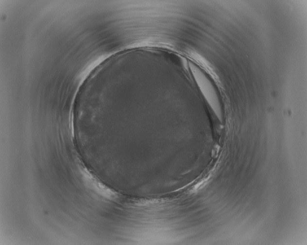 X0000070860892200607071855