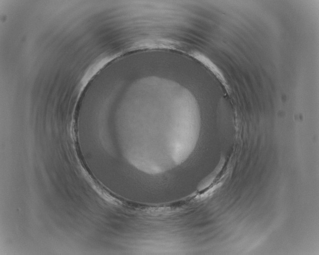 X0000070860893200607071855