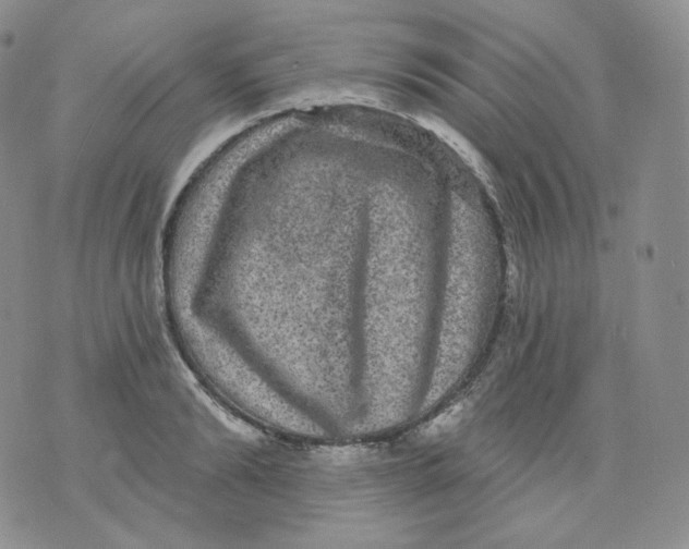 X0000070860894200607071855