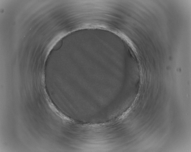 X0000070860896200607071855