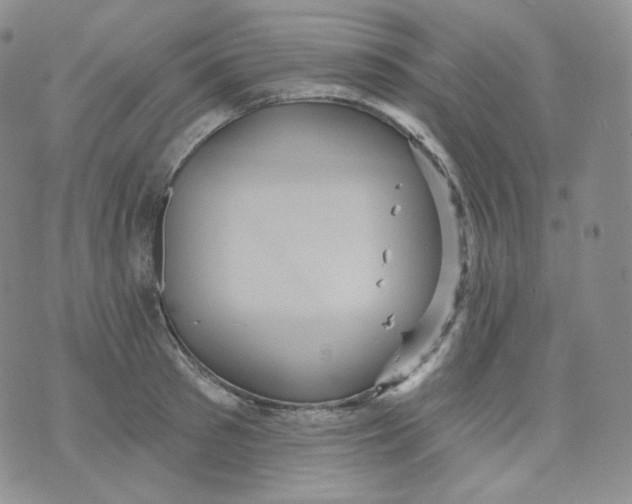 X0000070860897200607071855