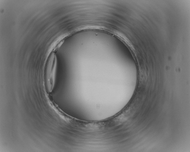 X0000070860898200607071855