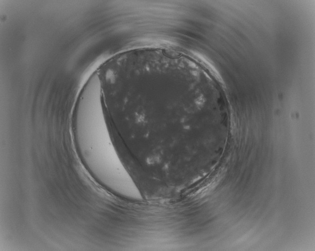 X0000070860899200607071855