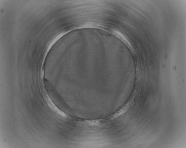 X0000070860900200607071854