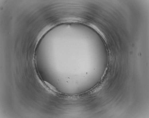 X0000070860901200607071854