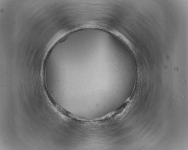 X0000070860902200607071854