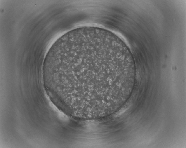 X0000070860903200607071854