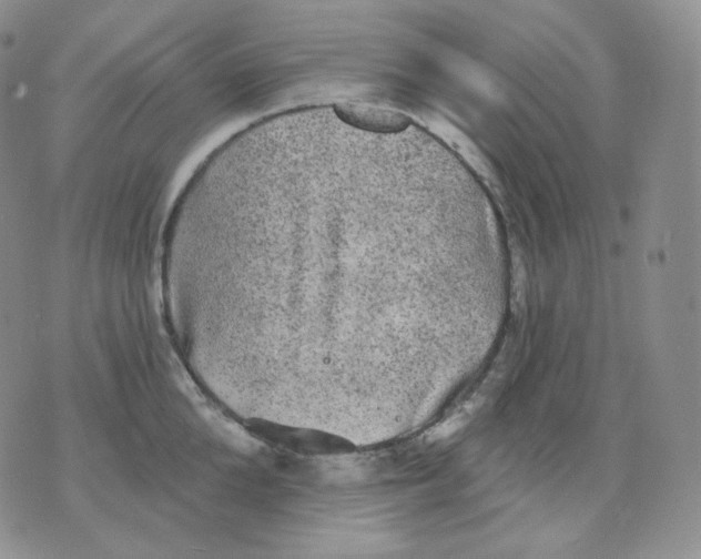 X0000070860904200607071854