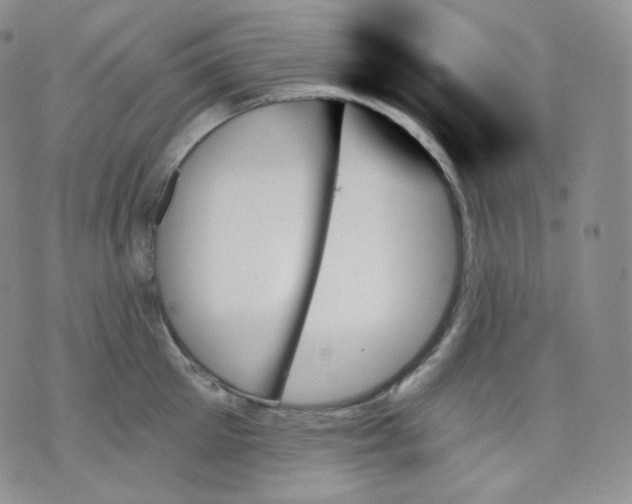 X0000070860905200607071854