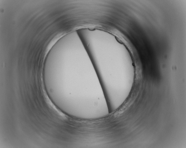 X0000070860906200607071854