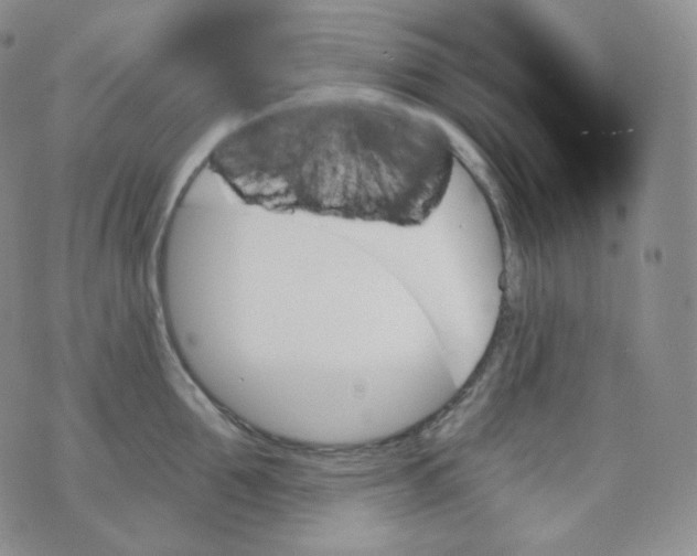 X0000070860907200607071854