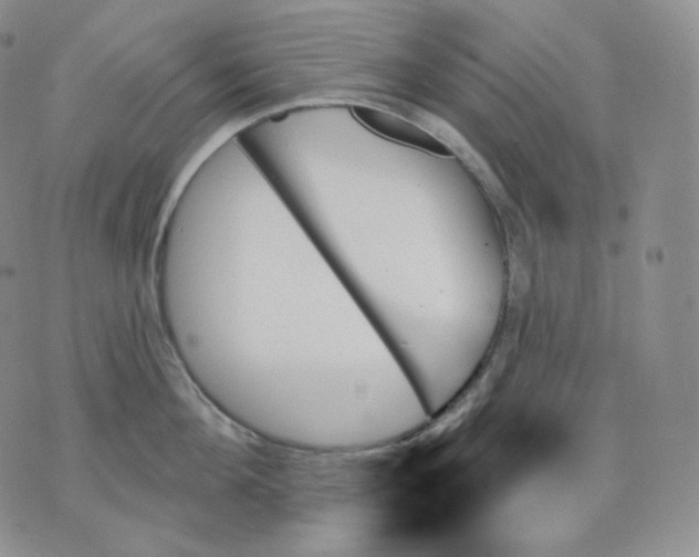 X0000070860908200607071854