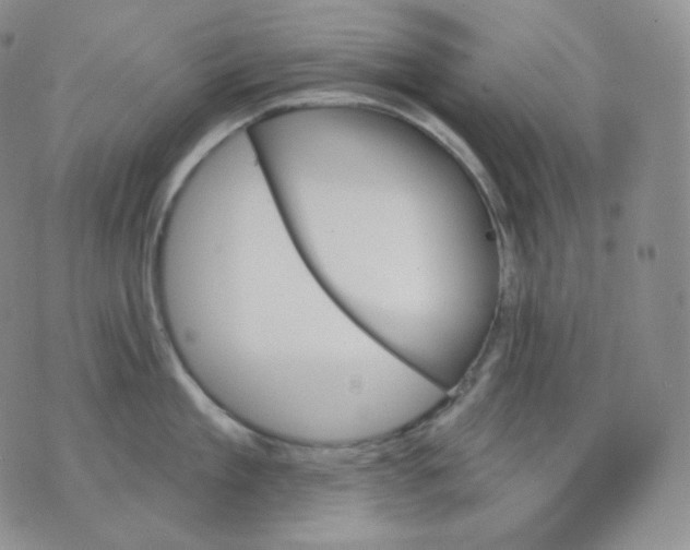 X0000070860909200607071854