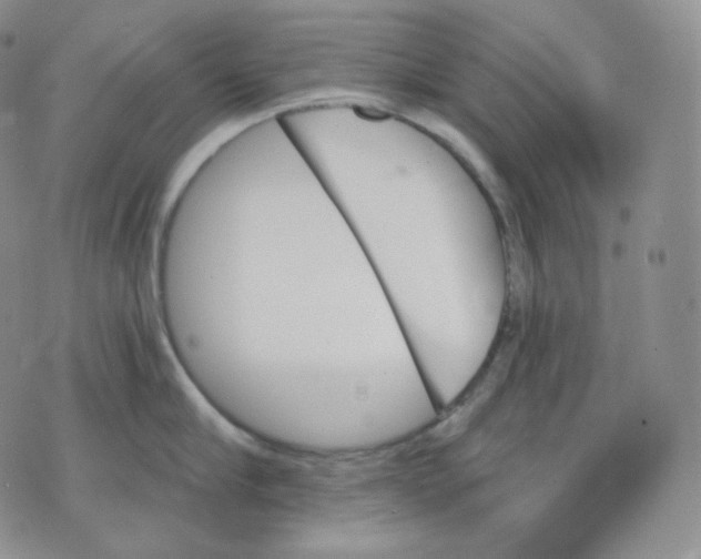 X0000070860910200607071854