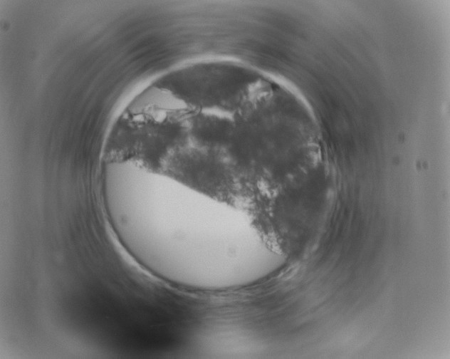 X0000070860911200607071854