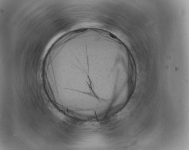 X0000070860912200607071854