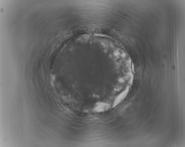 X0000070860913200607071854